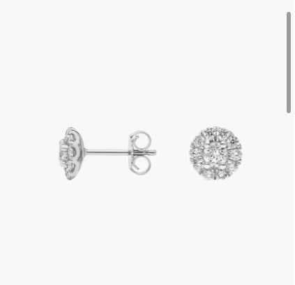 Silver Earring